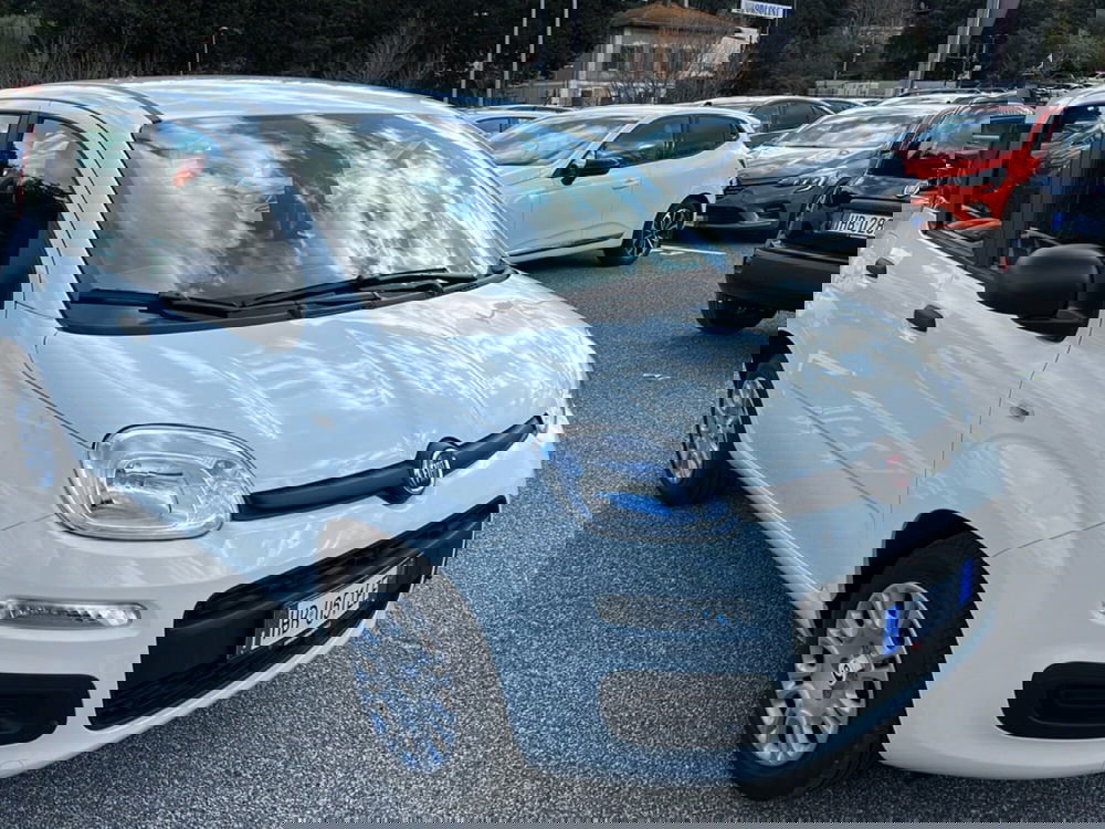 Fiat Panda nuova a Roma (2)