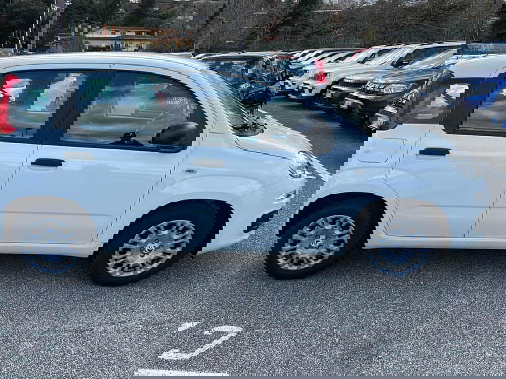 Fiat Panda nuova a Roma (6)