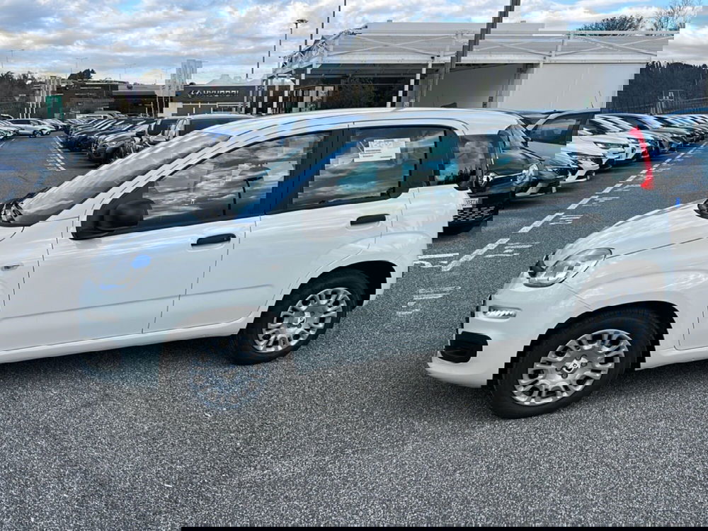 Fiat Panda nuova a Roma (8)