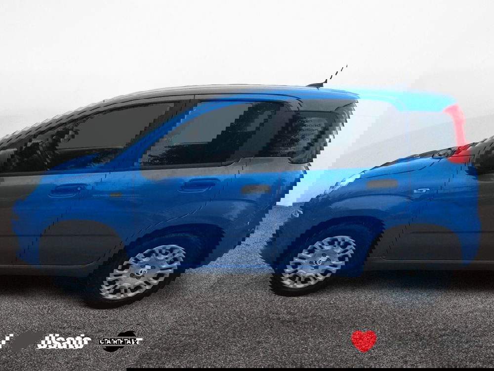 Fiat Panda nuova a Latina (7)