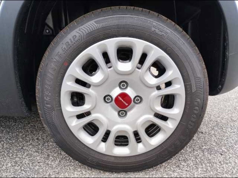 Fiat Panda nuova a Roma (17)