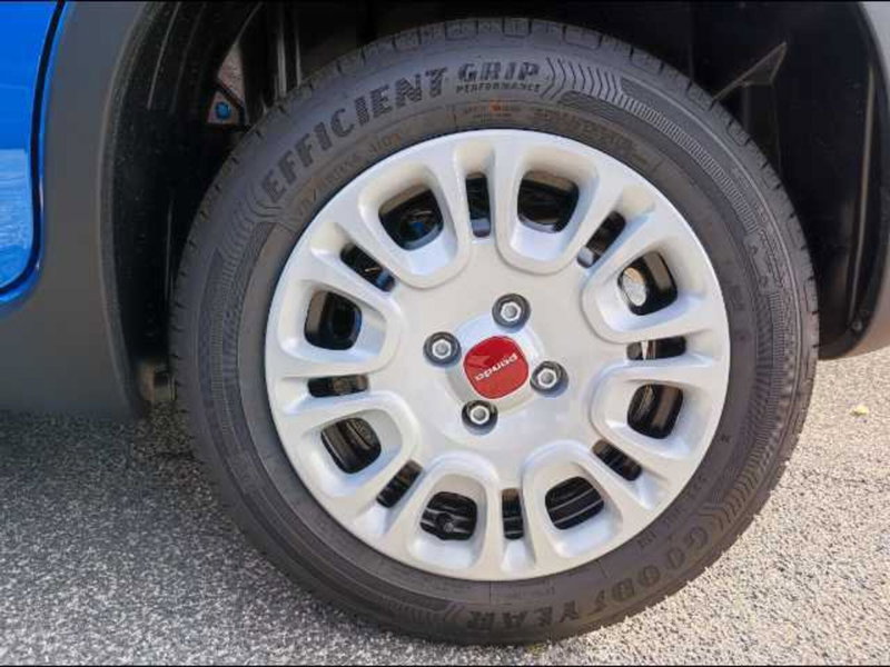 Fiat Panda nuova a Roma (17)