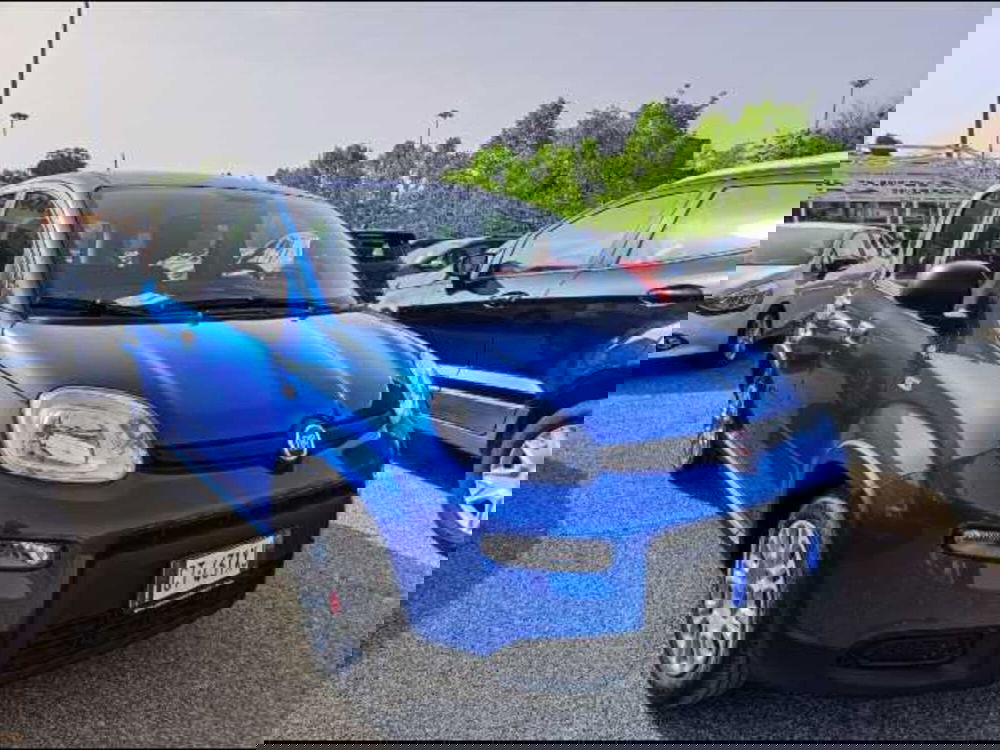 Fiat Panda nuova a Roma (4)