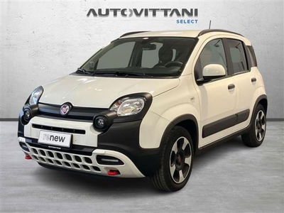 Fiat Panda Cross 1.0 firefly hybrid Cross s&amp;s 70cv 5p.ti del 2024 usata a Como