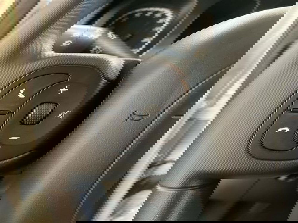 Fiat Panda Cross usata a Como (17)