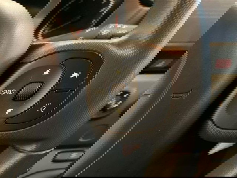 Fiat Panda Cross usata a Como (18)