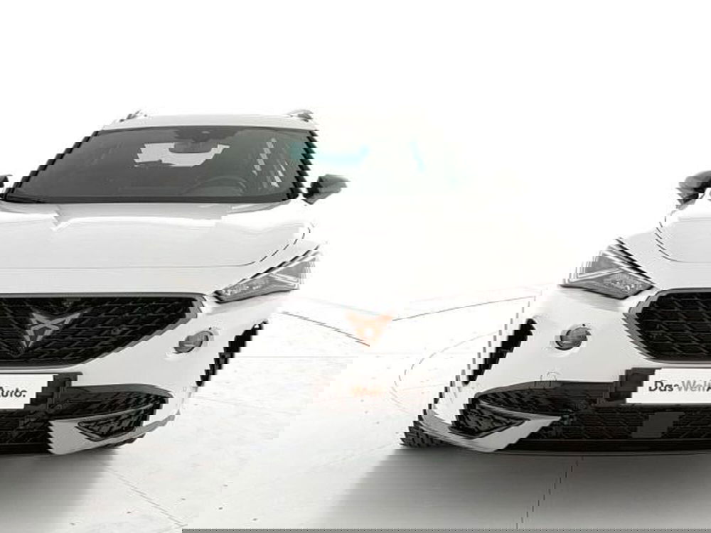 Cupra Formentor usata a Vicenza (2)