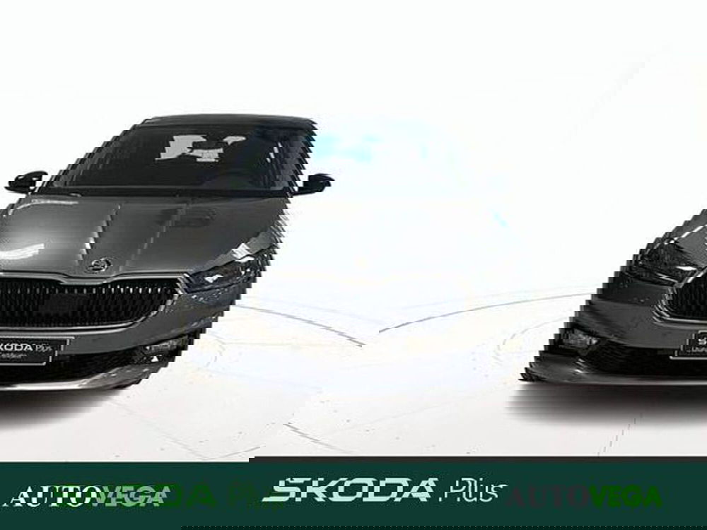 Skoda Fabia usata a Vicenza (2)