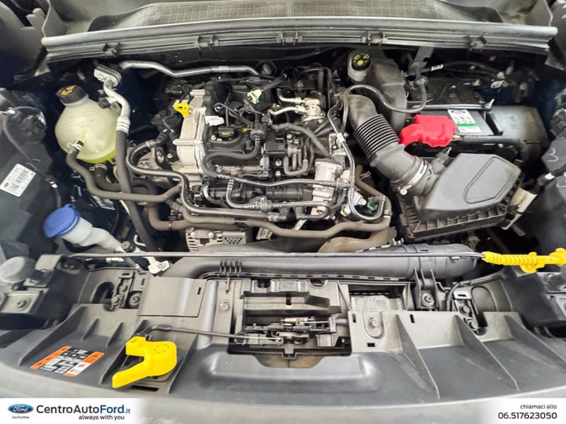 Ford Puma usata a Roma (12)