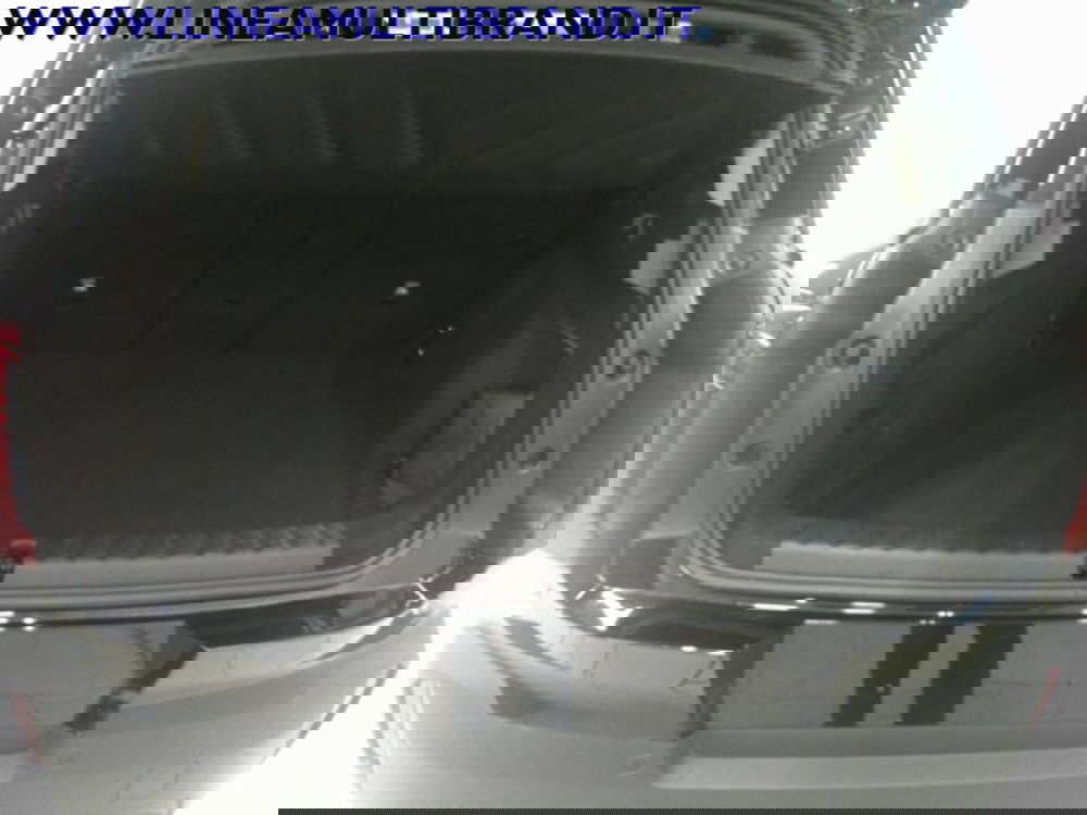 MINI Mini Countryman usata a Piacenza (7)