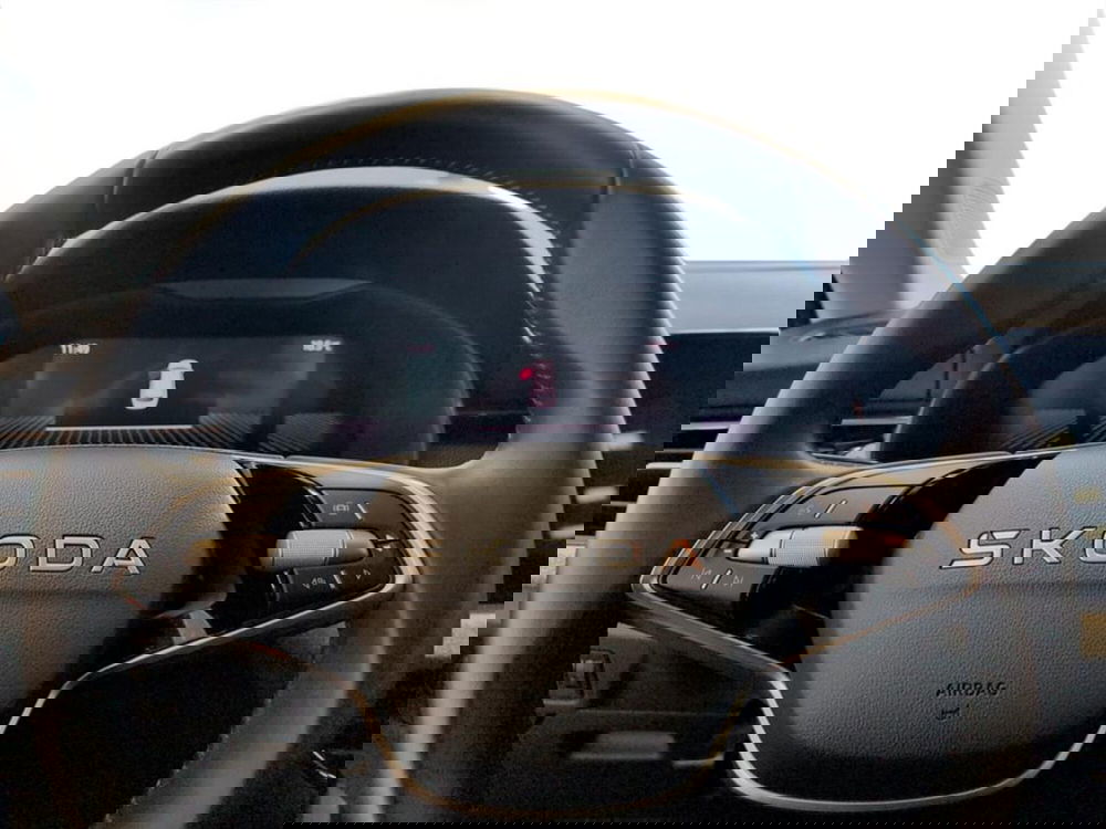 Skoda Kamiq usata a Piacenza (12)