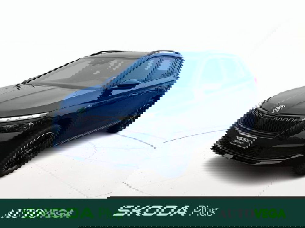 Skoda Kamiq usata a Vicenza