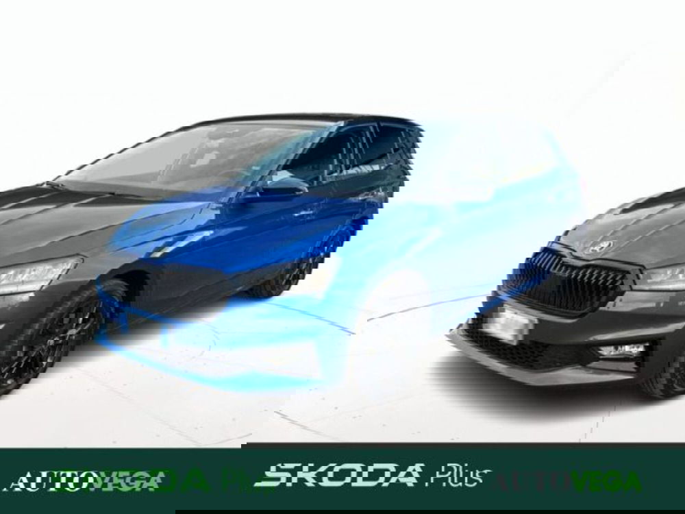 Skoda Fabia usata a Vicenza