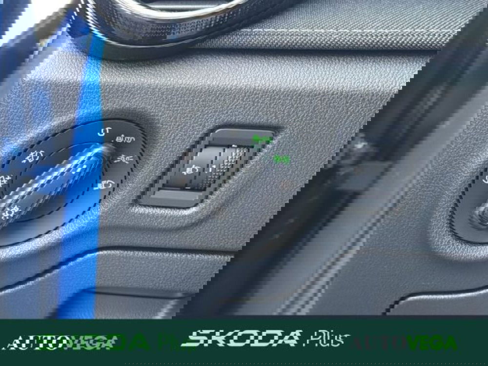 Skoda Fabia usata a Vicenza (13)