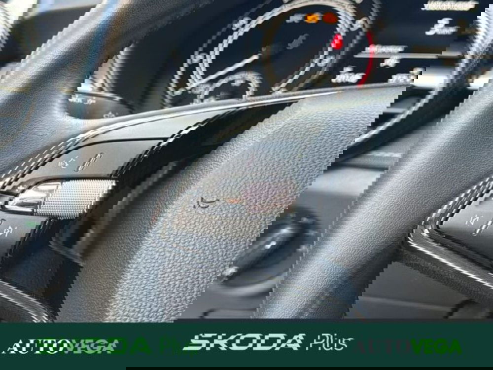 Skoda Fabia usata a Vicenza (19)