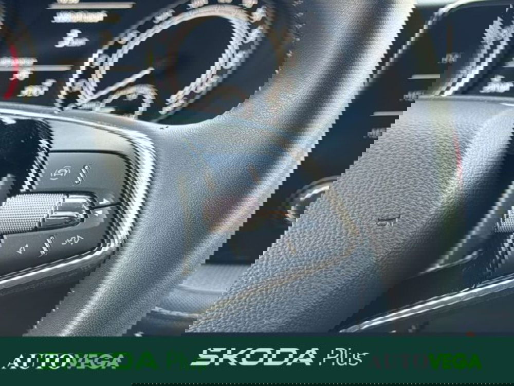 Skoda Fabia usata a Vicenza (20)