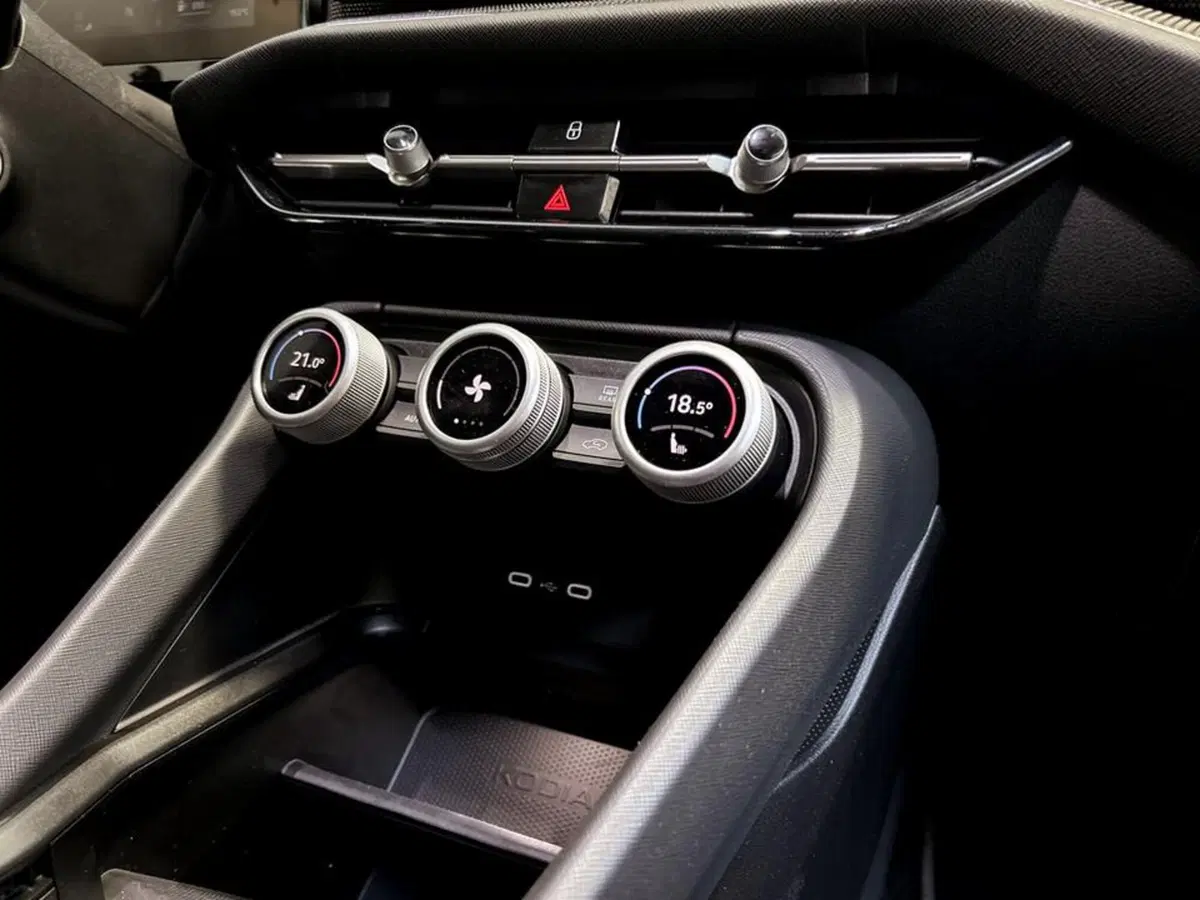 Skoda Kodiaq usata a Piacenza (12)