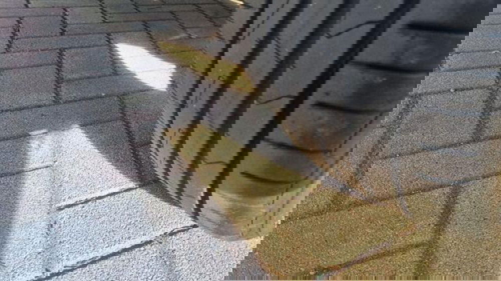 Hyundai i10 usata a Savona (14)