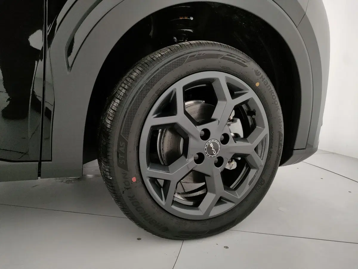 Byd Dolphin Surf nuova a Caserta (17)