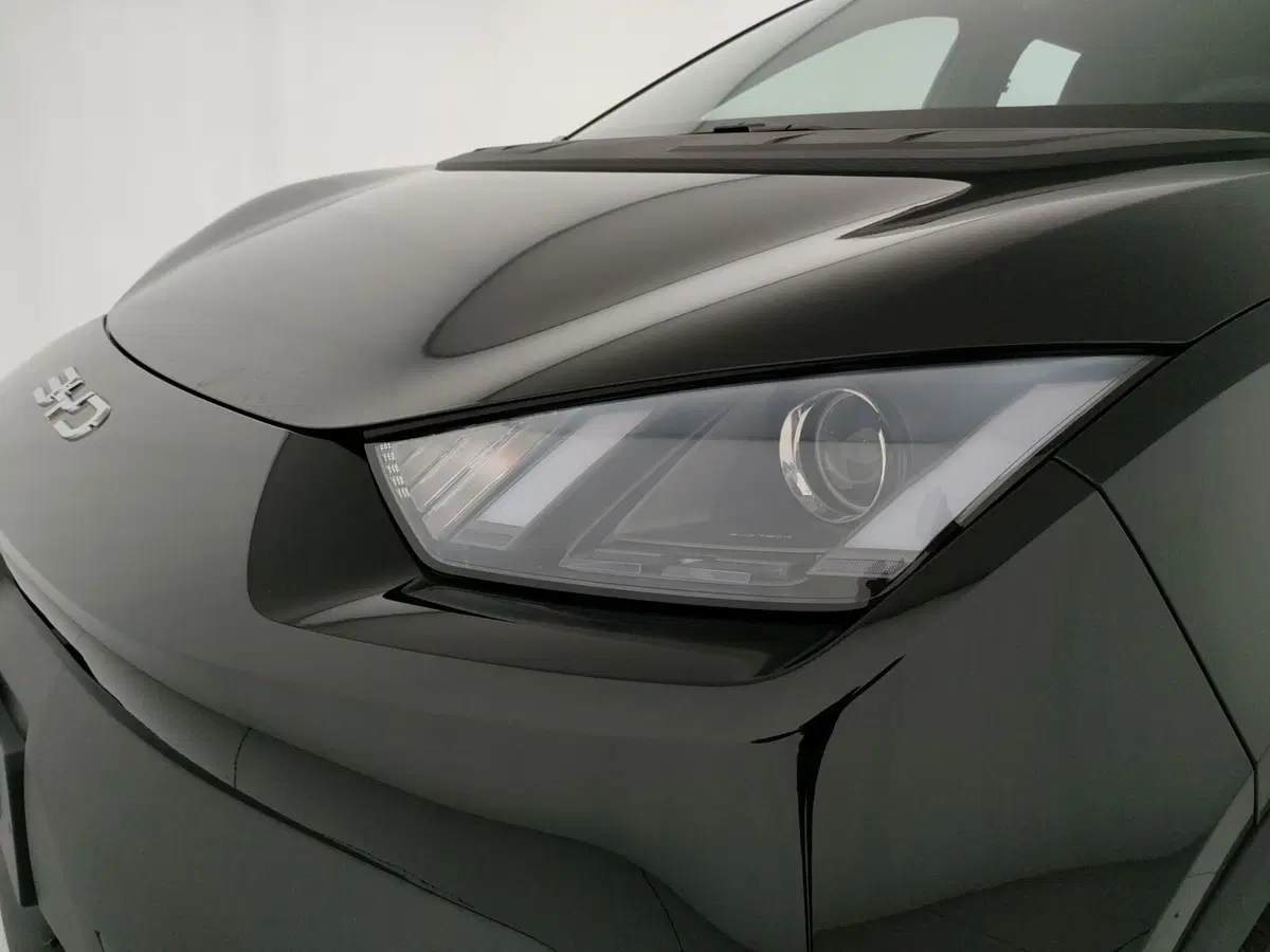 Byd Dolphin Surf nuova a Caserta (18)