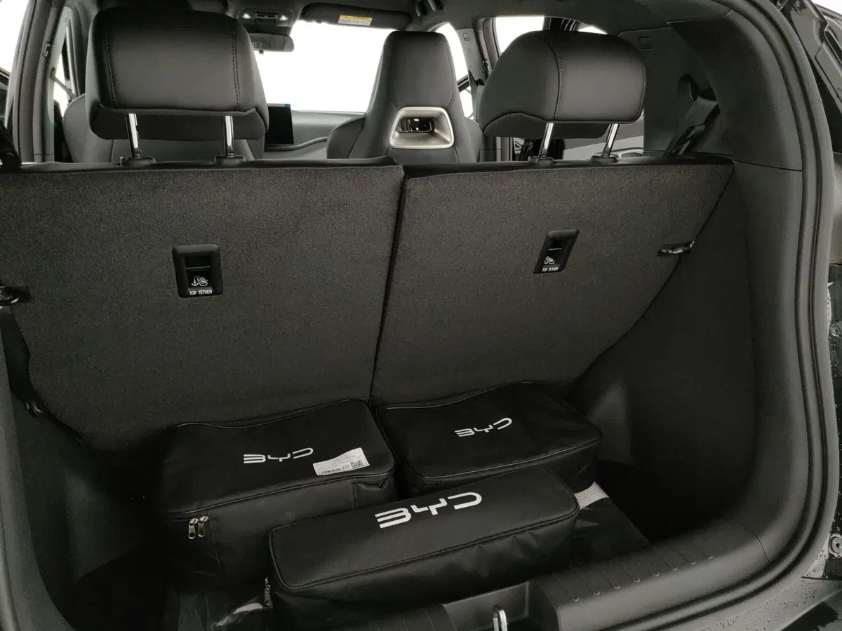 Byd Dolphin Surf nuova a Caserta (8)