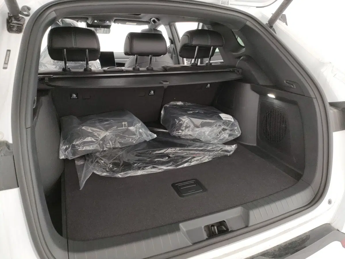 Byd Seal U DM-i  nuova a Caserta (8)