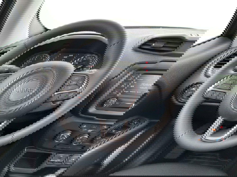 Jeep Renegade usata a Torino (11)