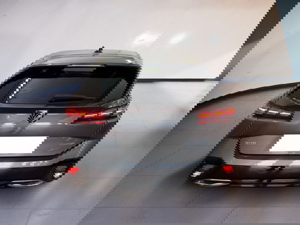 Peugeot 308 SW usata a Torino (5)