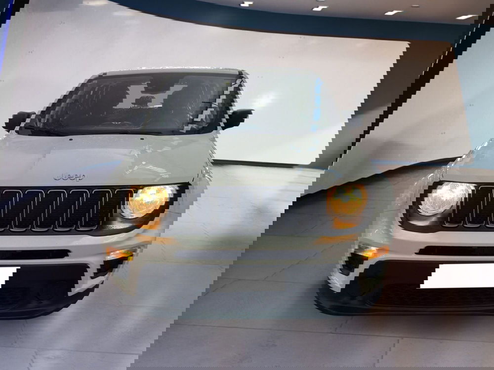 Jeep Renegade usata a Torino