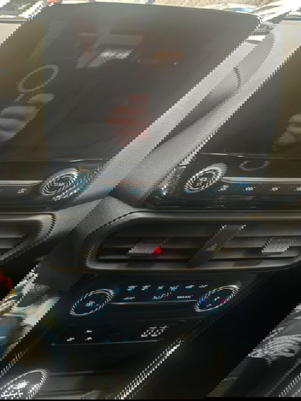 Ford EcoSport usata a Lodi (10)