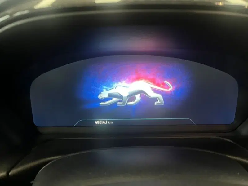 Ford Puma usata a Lodi (11)