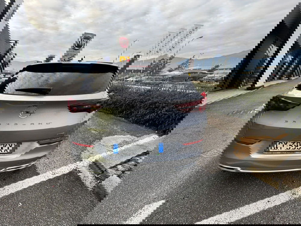 Opel Grandland usata a Frosinone (8)