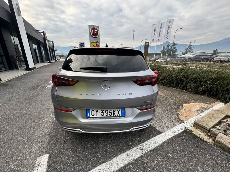 Opel Grandland usata a Frosinone (8)