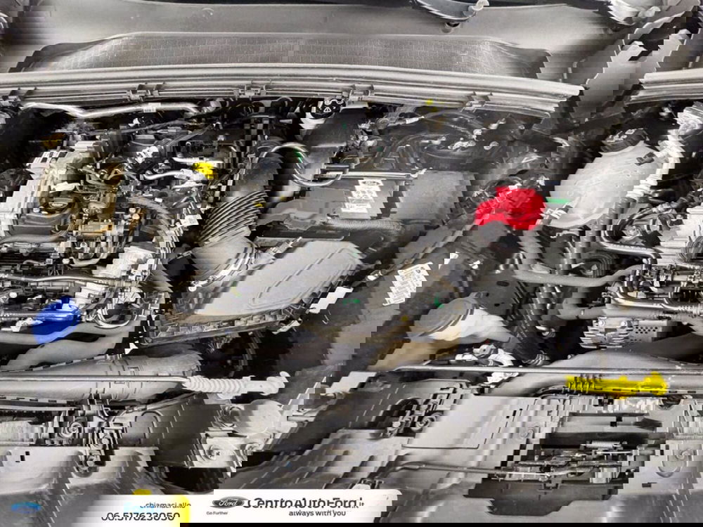 Ford Puma usata a Roma (12)