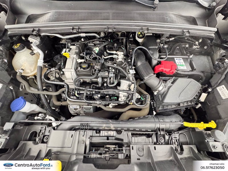 Ford Puma usata a Roma (12)