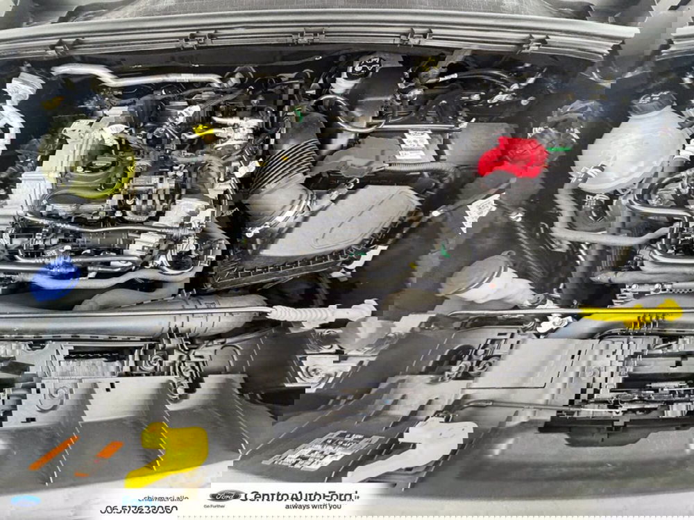 Ford Puma usata a Roma (12)