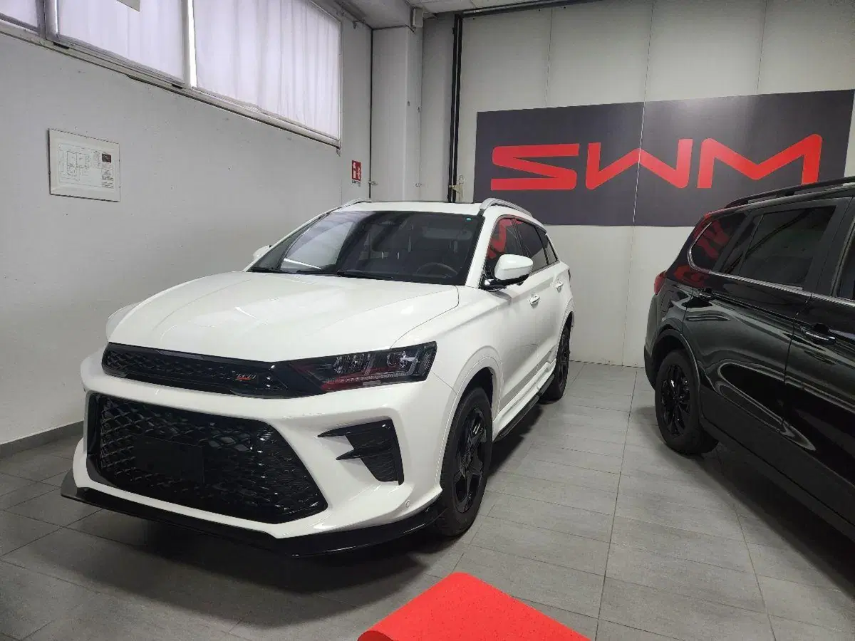 SWM G01 nuova a Milano