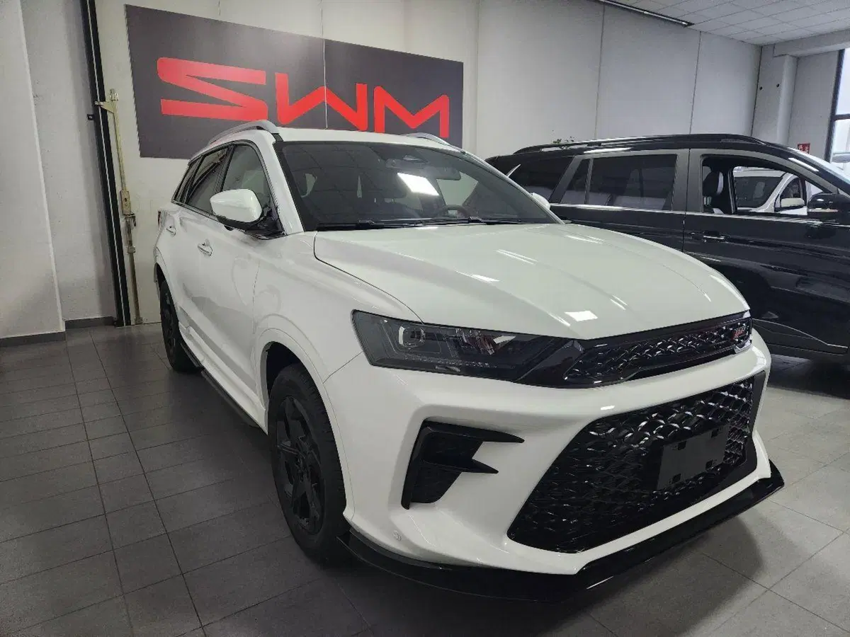 SWM G01 nuova a Milano (3)