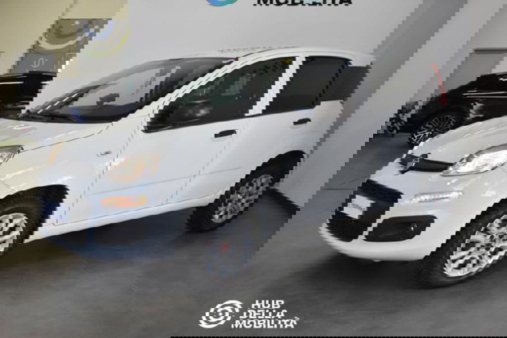 Fiat Panda usata a Perugia (3)