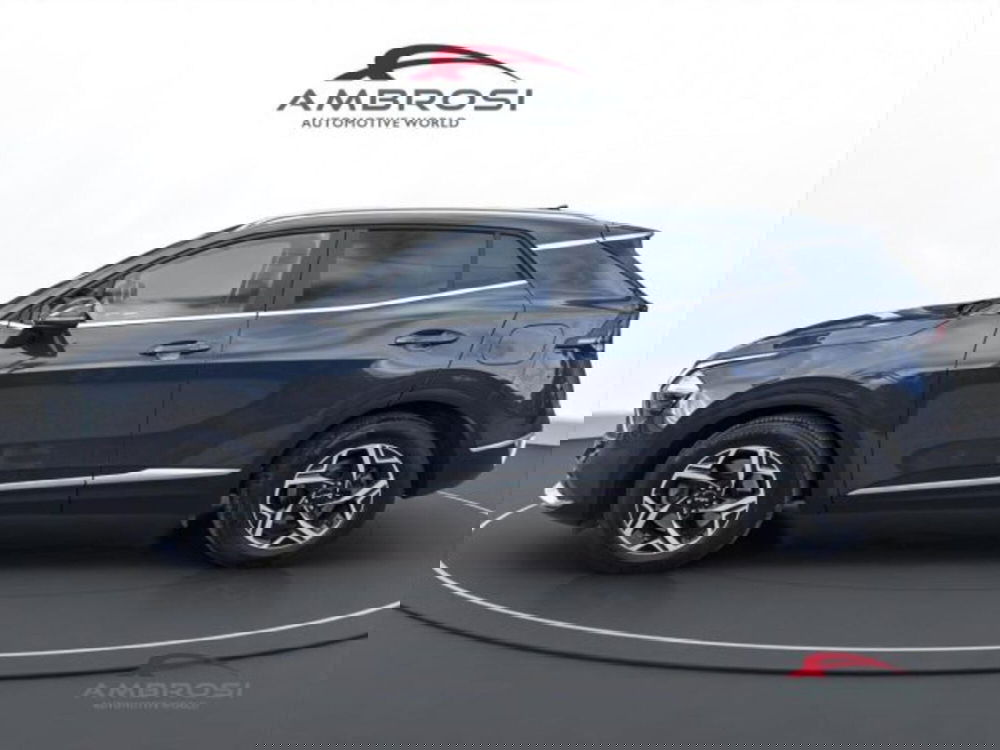 Kia Sportage usata a Perugia (6)