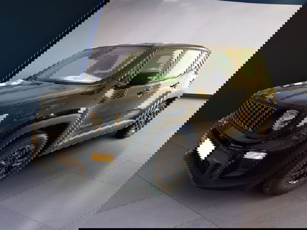 Jeep Renegade usata a Torino (2)