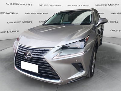 Lexus NX Hybrid 4WD Executive del 2018 usata a Modena