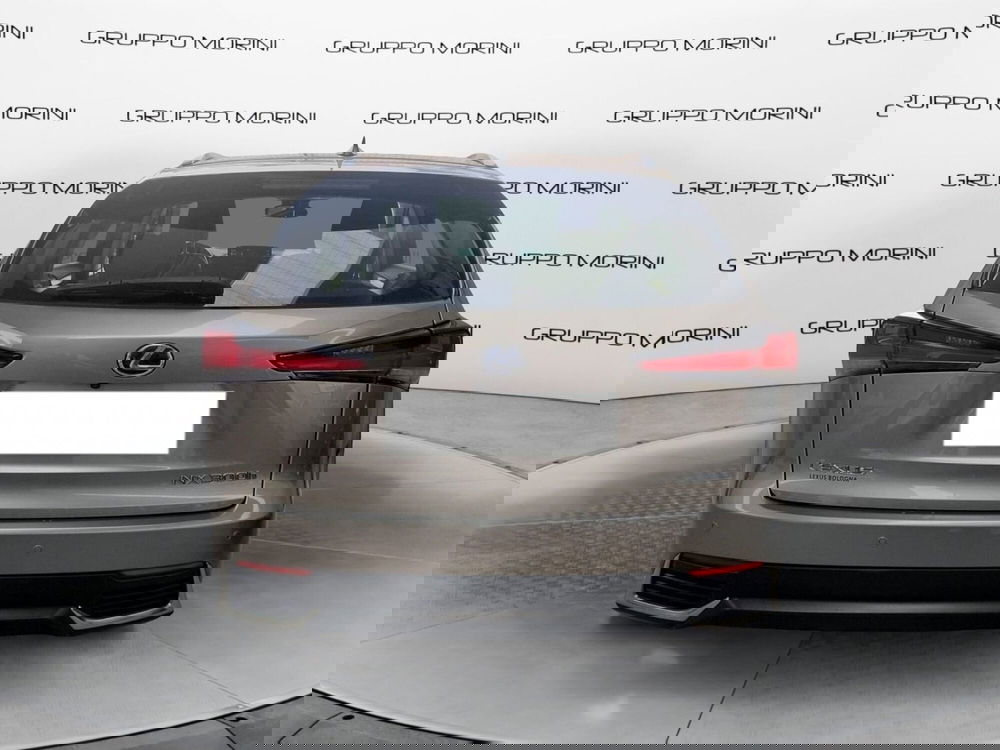 Lexus NX usata a Modena (5)