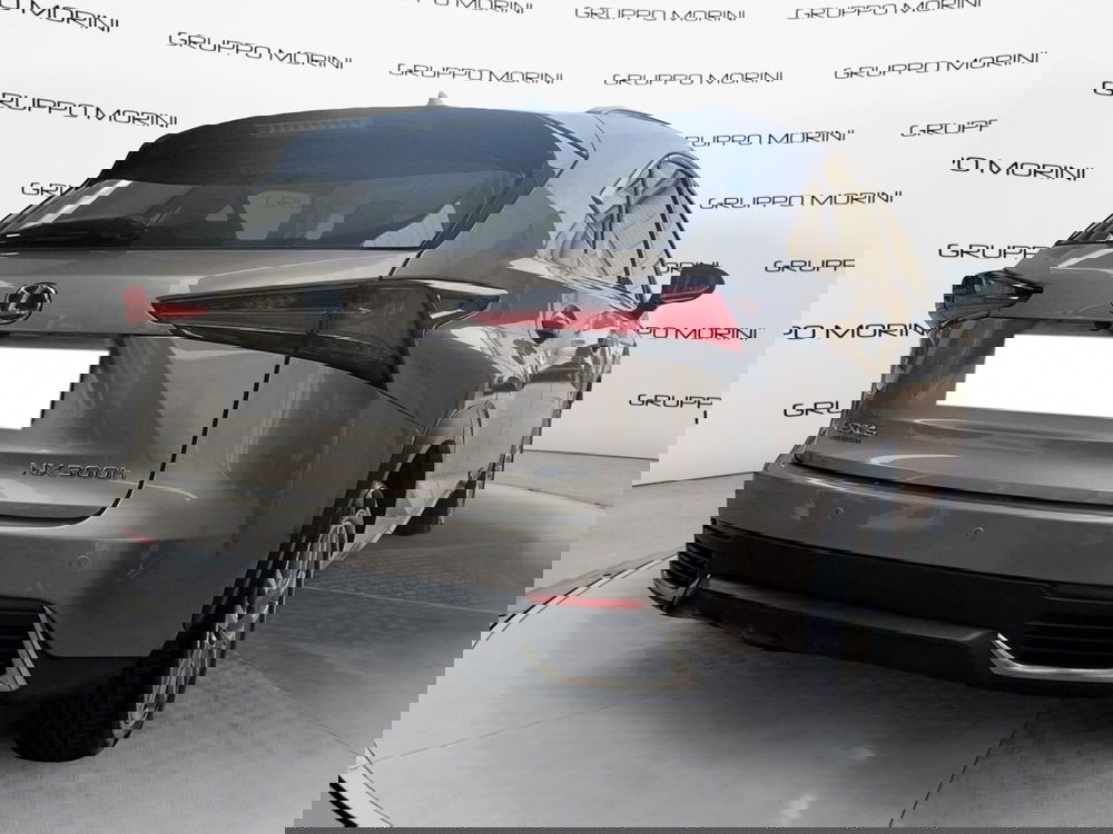 Lexus NX usata a Modena (6)