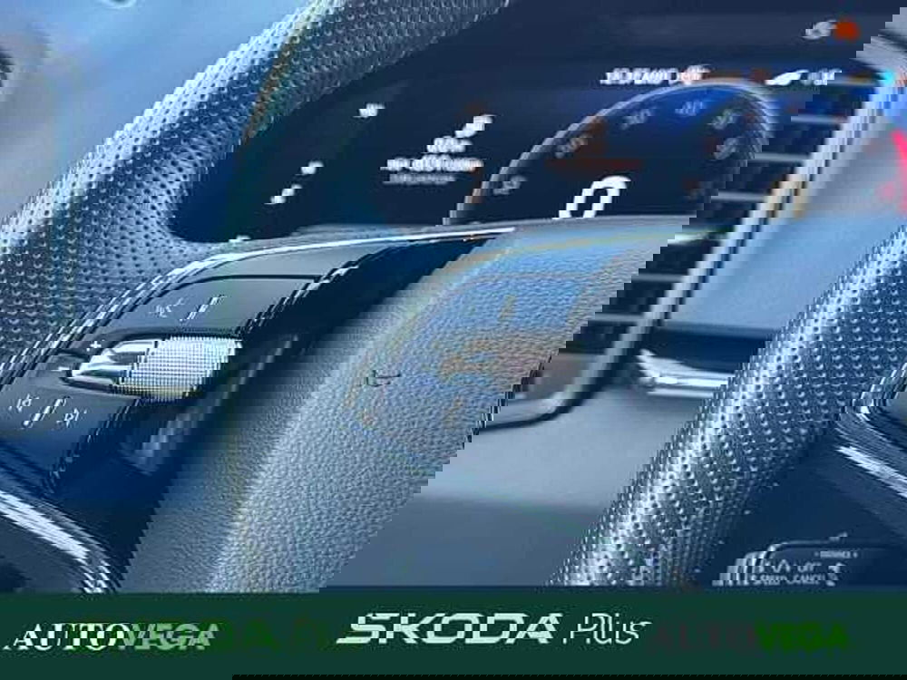 Skoda Karoq usata a Vicenza (20)