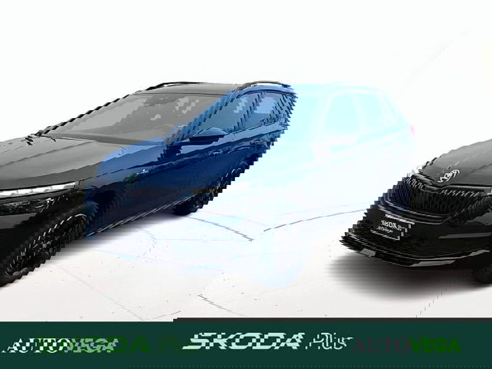 Skoda Kamiq usata a Vicenza