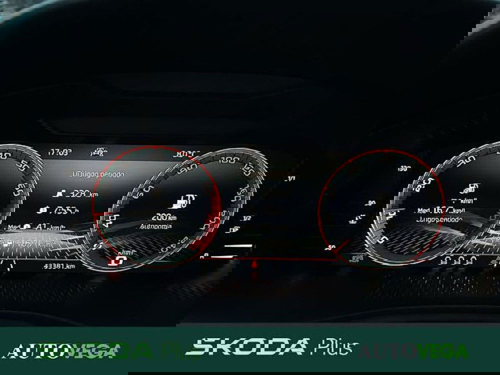 Skoda Kamiq usata a Vicenza (10)