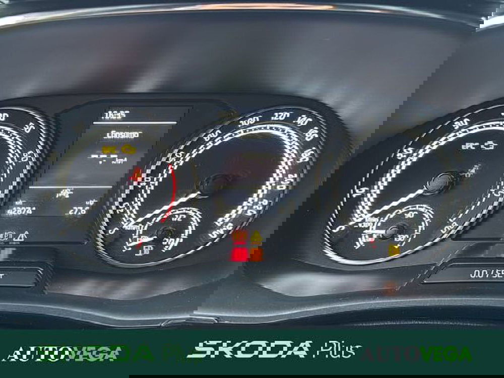Skoda Fabia usata a Vicenza (14)