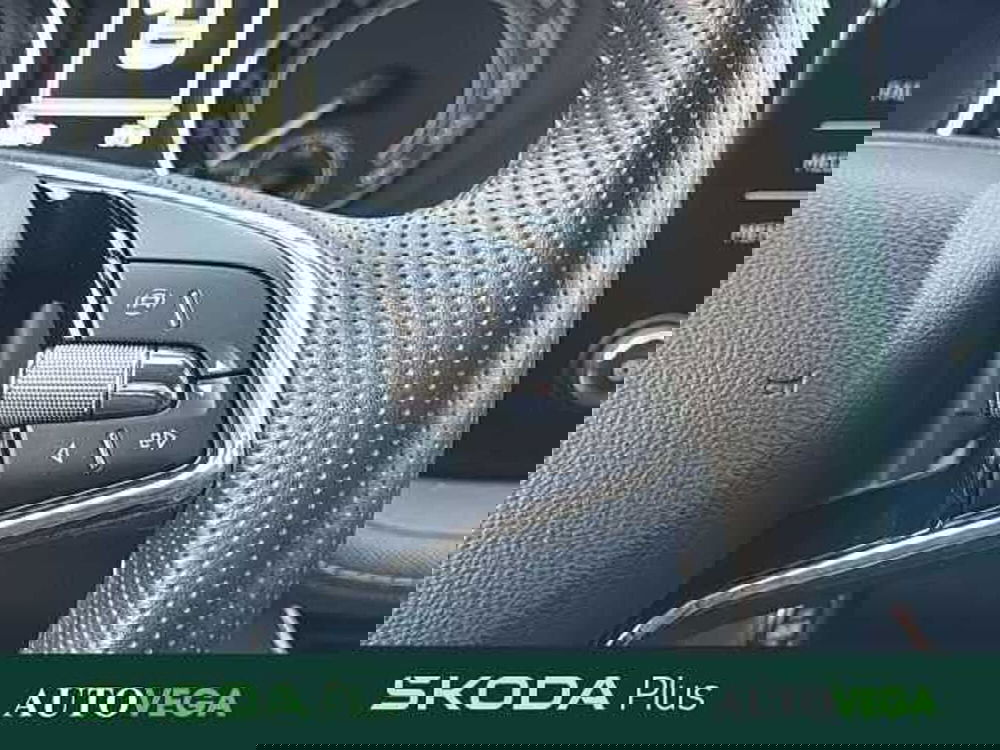 Skoda Fabia usata a Vicenza (19)