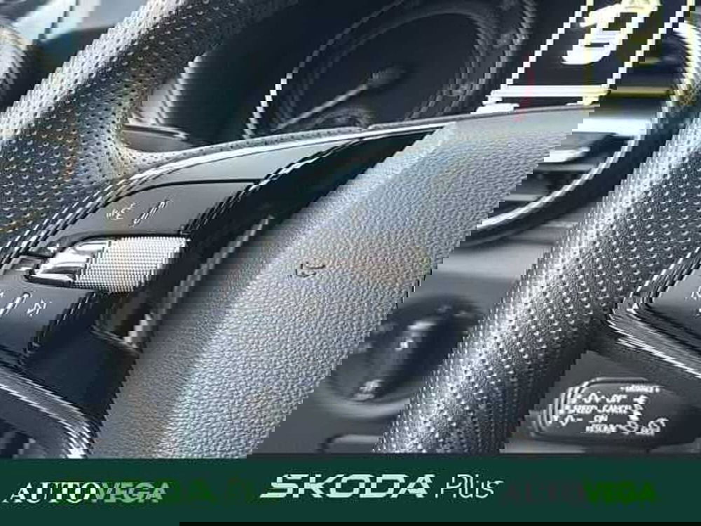 Skoda Fabia usata a Vicenza (20)